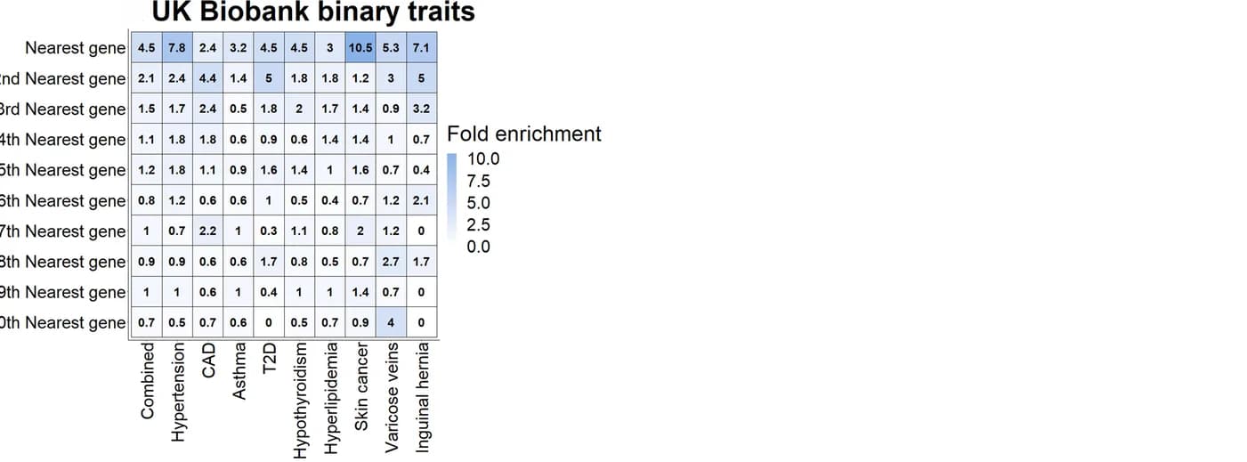 Open access visualization of Heatmap, BIGKnock significant genes, Binary traits, GWAS variant