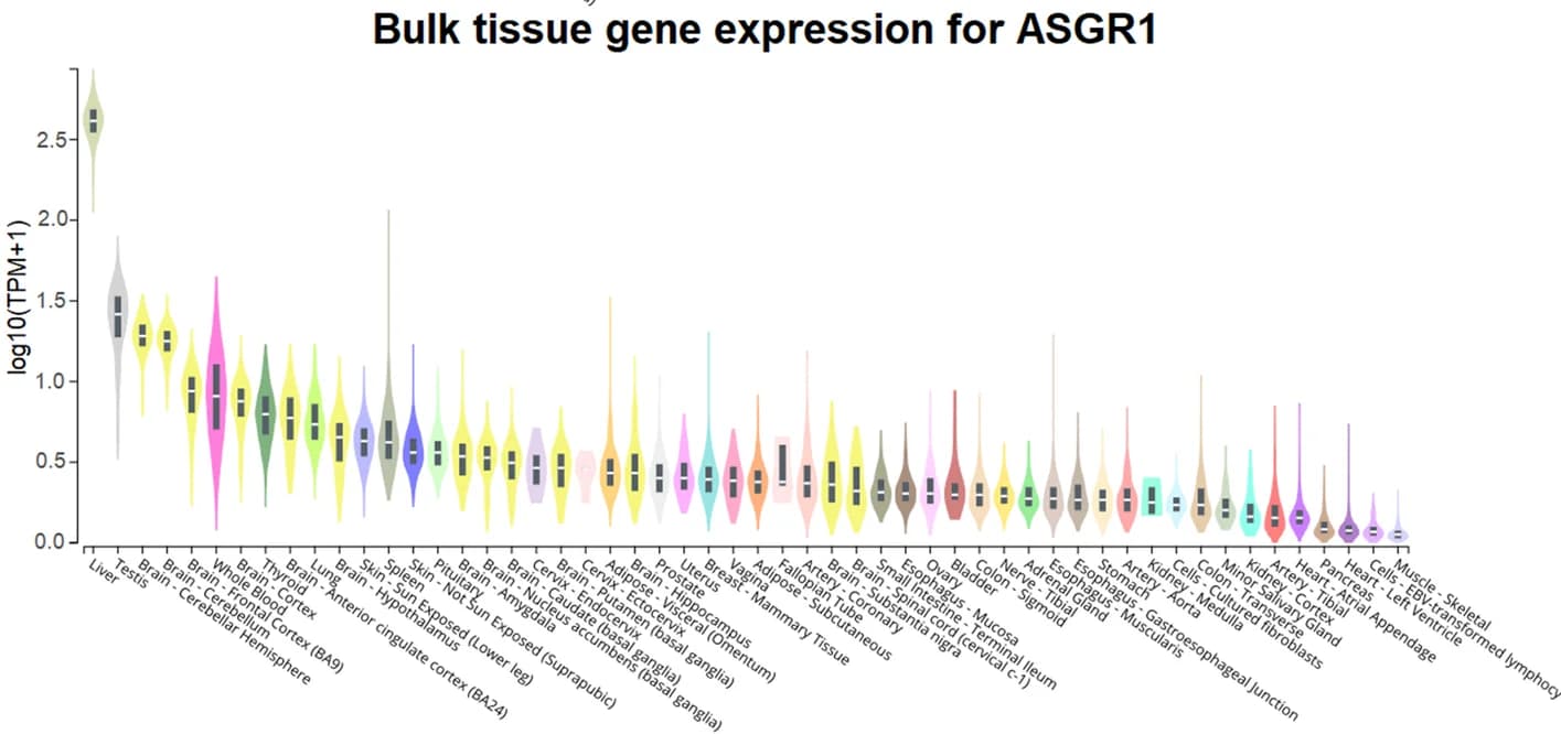 Open access visualization of Violin Plot, Box Plot, GTEx Gene Expression, ASGR1, Tissues