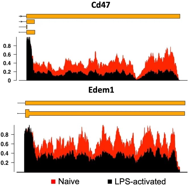 Open access visualization of Line Plot, Density Plot, 3'-UTR coverage, Secretion associated genes, Cd47