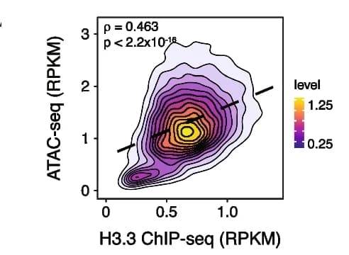 Open access visualization of Scatter Plot, Density Plot, Regression Plot, ATAC-seq, H3.3 ChIP-seq