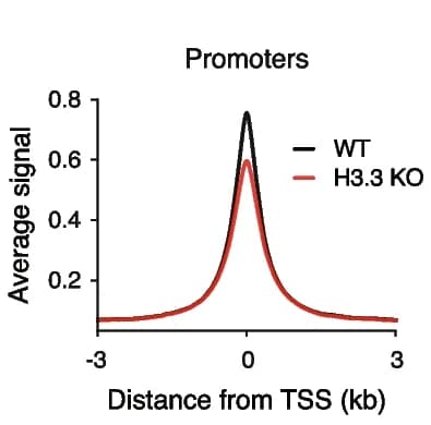 Open access visualization of Line Plot, ATAC-seq, Average Profiles, Active Promoters, Wild-Type ESCs