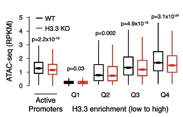 Open access visualization of Box Plot, Boxplot, ATAC-seq, Active Promoters, H3.3 Enrichment