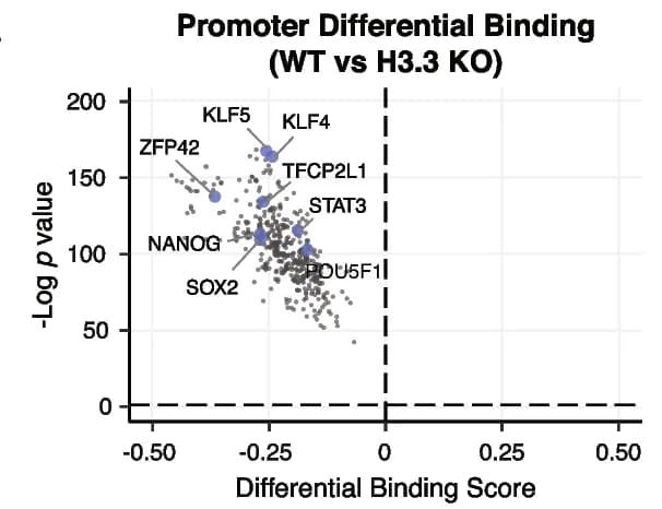 Open access visualization of Volcano Plot, Scatter Plot, TF, Promoters, ESCs