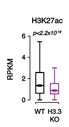 Open access visualization of Box Plot, H3K27ac, Active Promoters, WT ESCs, H3.3 KO ESCs