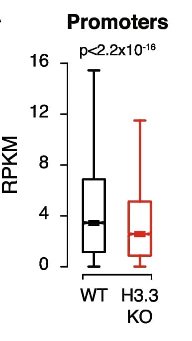 Open access visualization of Box Plot, GRO-seq, Promoters, Expressed genes, H3.3 KO ESCs
