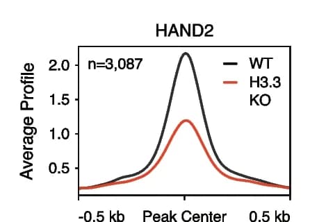 Open access visualization of Line Plot, CUT&Tag, HAND2, ESCs, Promoter-proximal Regions