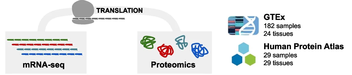 Open access visualization of Workflow, Illustration, Proteomics, mRNA-seq, GTEx project
