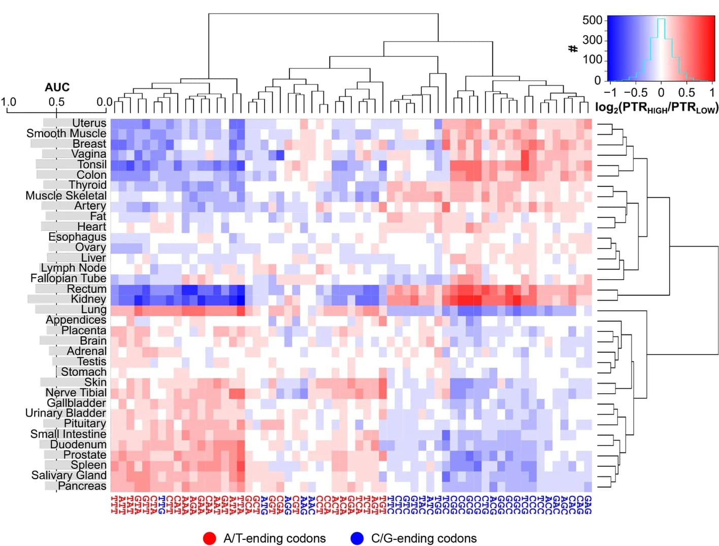 Open access visualization of Heatmap, Clustered, Histogram, Bar Plot, Codon Usage
