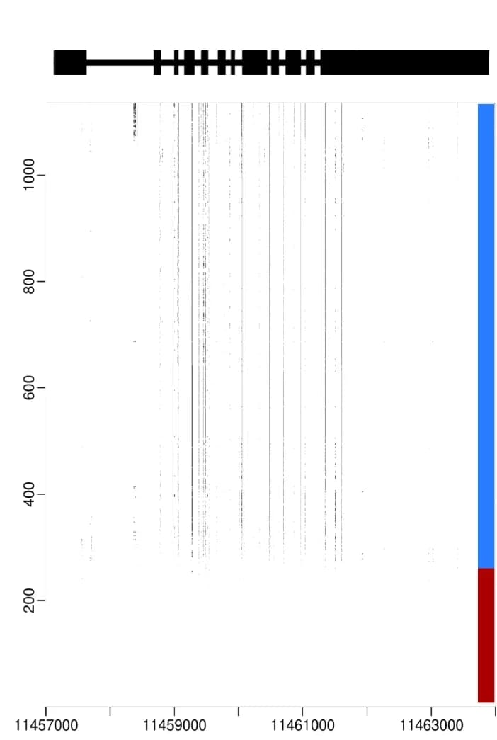 Open access visualization of Bar Plot, Heterozygosity, Accessions