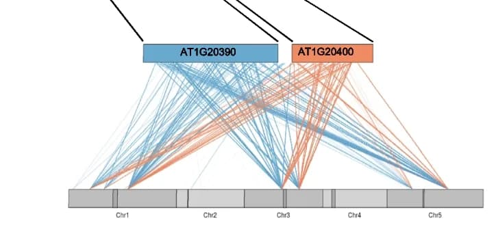 Open access visualization of Network, Pathway, Chord, GWAS results, SNPs