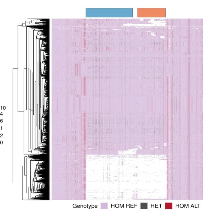 Open access visualization of Heatmap, Clustered, SNP haplotypes, AT1G20400, Genomes