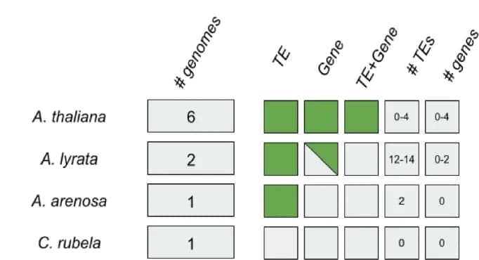 Open access visualization of Table Image, Gene, Transposon, Species