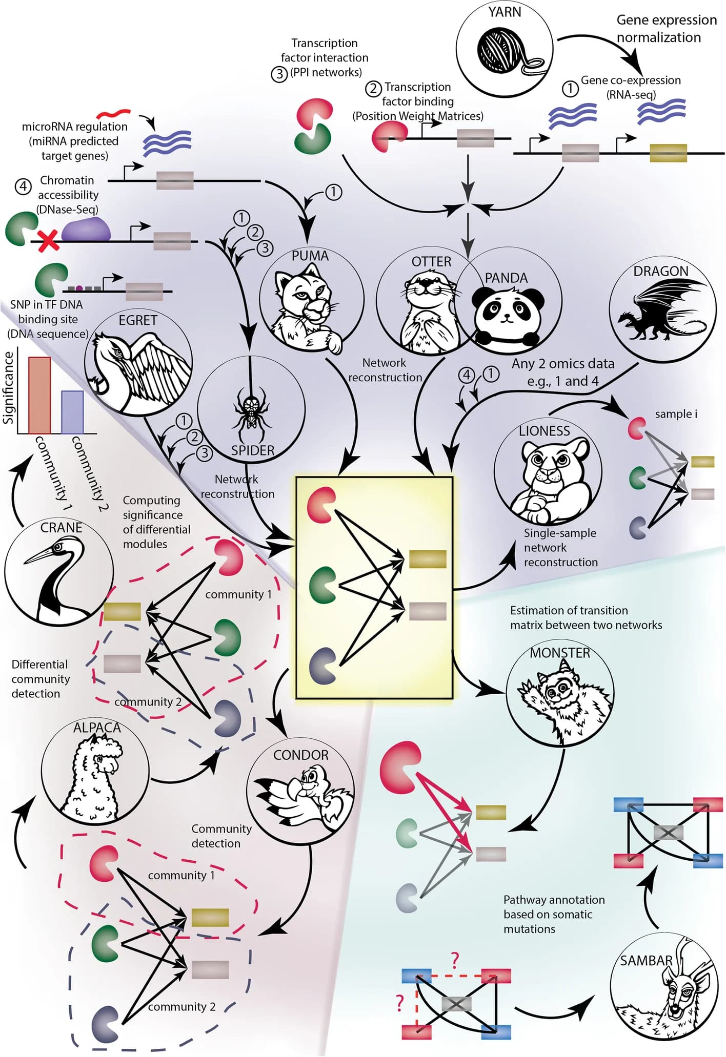 Open access visualization of Workflow, Illustration, Gene Regulatory Networks, Gene Expression, RNA-Seq