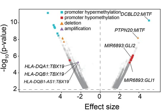 Open access visualization of Volcano Plot, Scatter Plot, ANOVA, TF Targeting Scores, Promoter Methylation