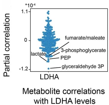 Open access visualization of Violin Plot, Metabolite Levels, LDHA Protein Levels, Partial Correlation
