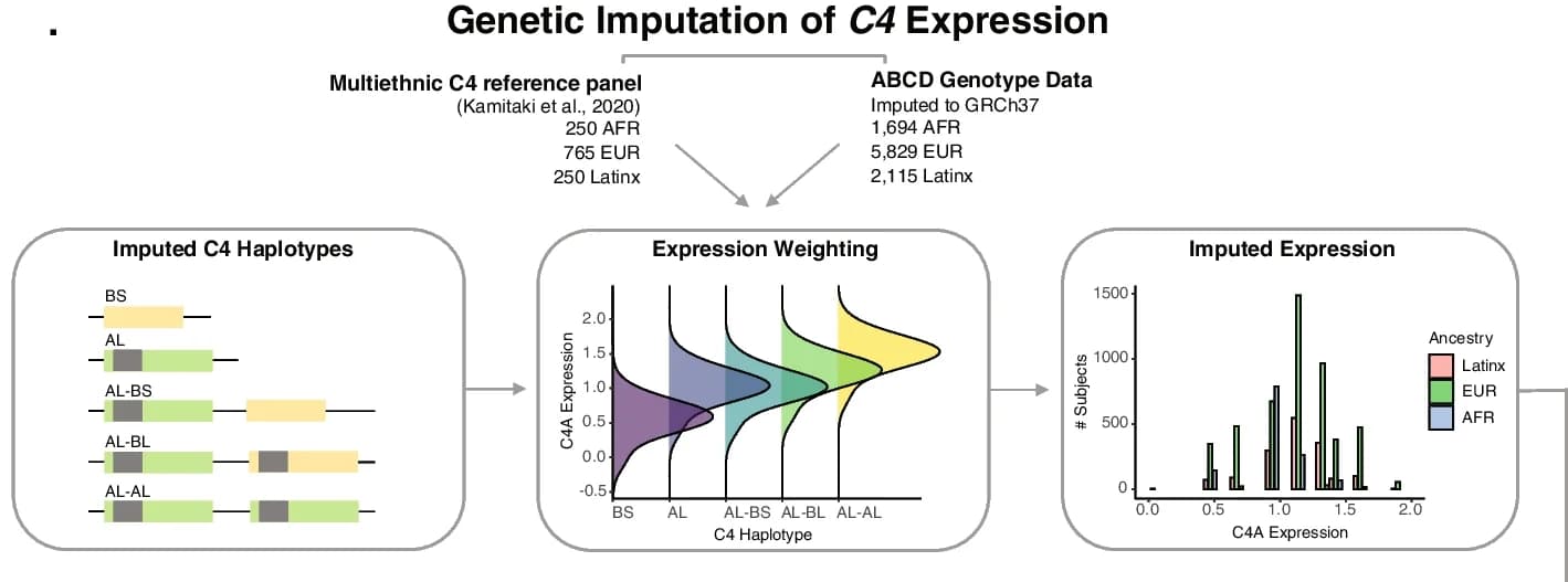 Open access visualization of Workflow, Density Plot, Bar Plot, Illustration, Genotype data