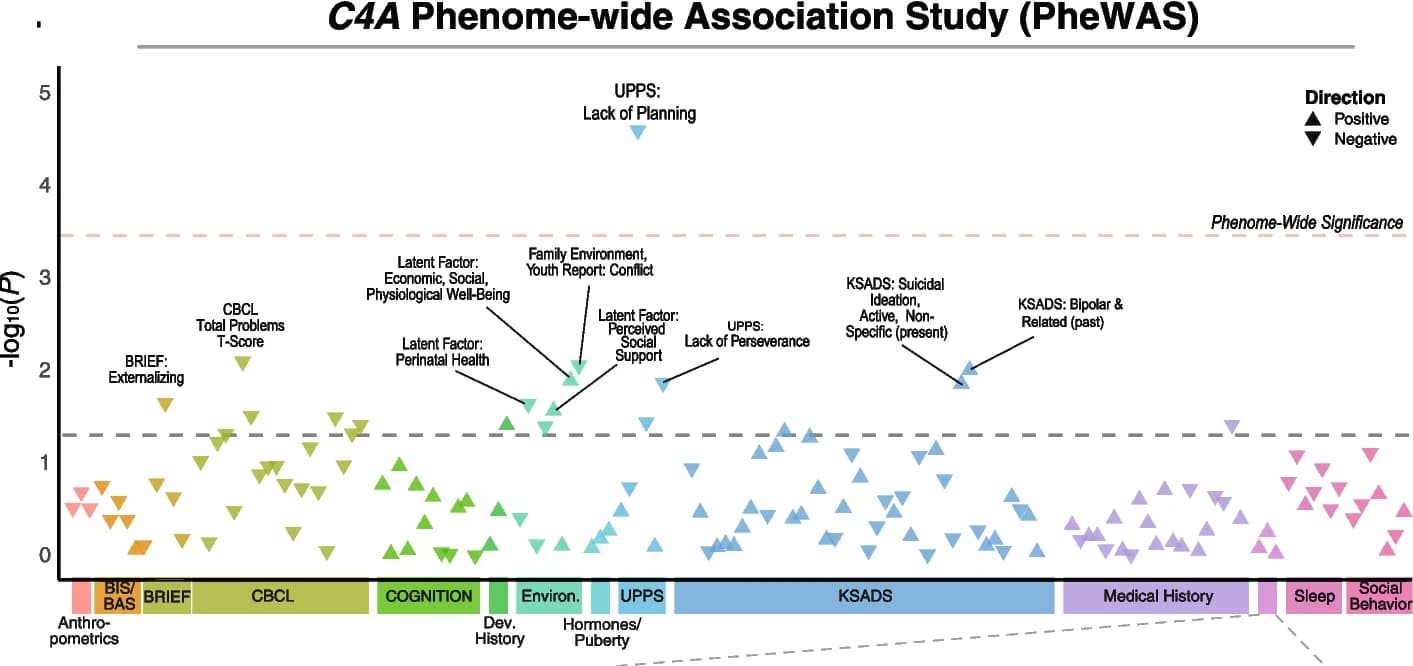 Open access visualization of Scatter Plot, Volcano Plot, C4A GREx, Phenotypes, UPPS-P Impulsive Behavior Scale