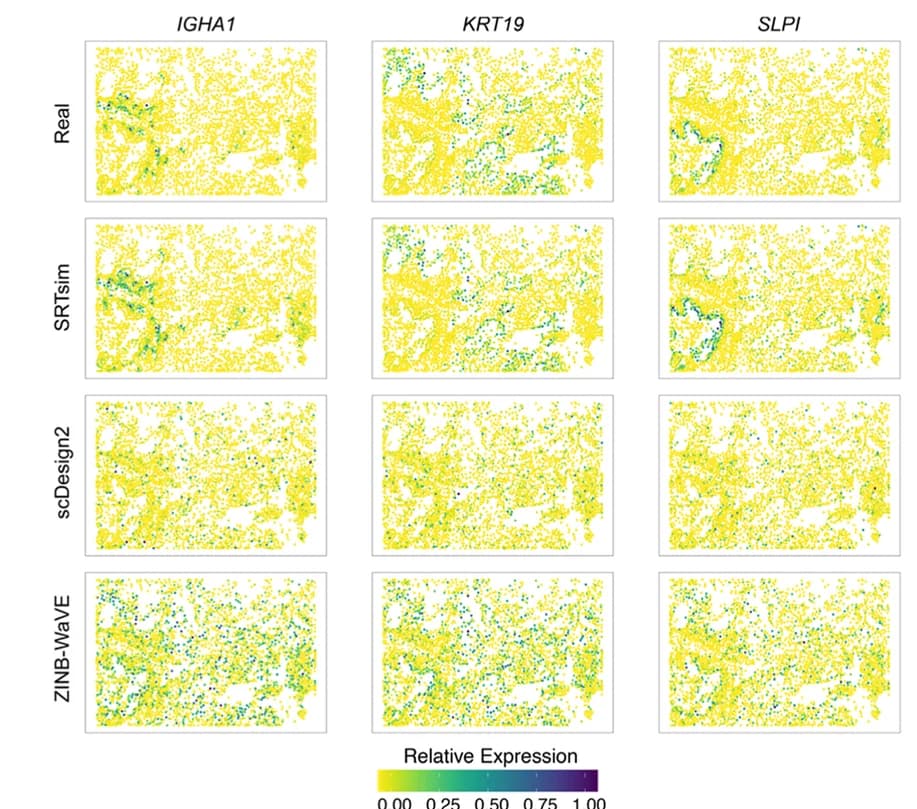 Open access visualization of Scatter Plot, Spatial Expression Patterns, Reference Data, SRTsim, scDesign2