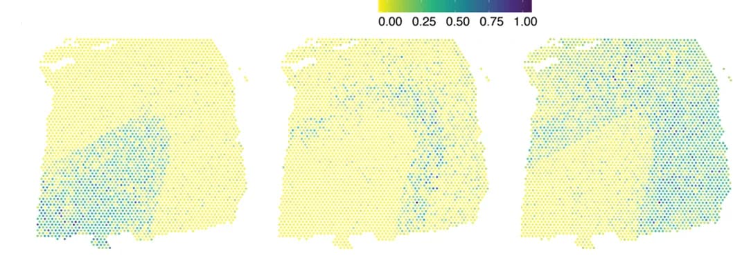 Open access visualization of Geo Map, Spatial Expression Patterns, Representative Genes, Synthetic Data, Redesigned Layers