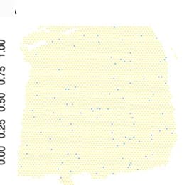 Open access visualization of Geo Map, DLPFC, Gene Expression, Spatial Pattern