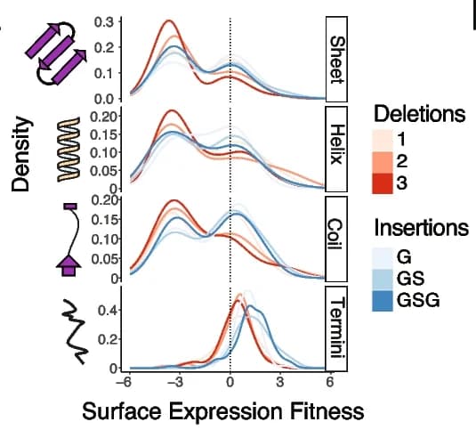 Open access visualization of Line Plot, Density Plot, Indels, Fitness Effects, Surface Expression