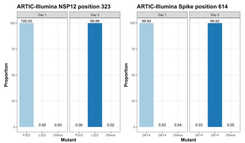 Open access visualization of Bar Plot, Clustered, ARTIC-Illumina, Amino Acid Variation, NSP12