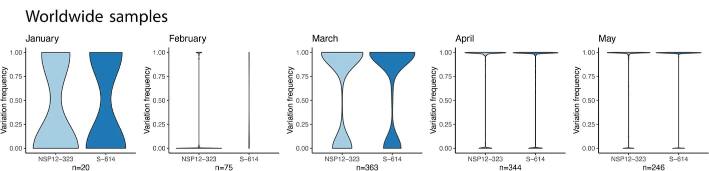 Open access visualization of Violin Plot, P323:L323 Ratio, D614:G614 Ratio, Patient Samples, SARS-CoV-2 Sequence