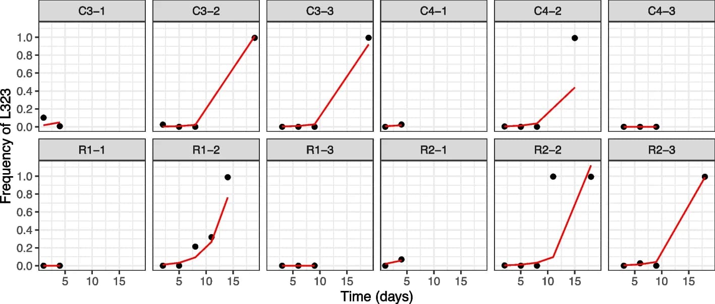 Open access visualization of Line Plot, Scatter Plot, Exponential Growth Model, L323 Substitution, NHPs
