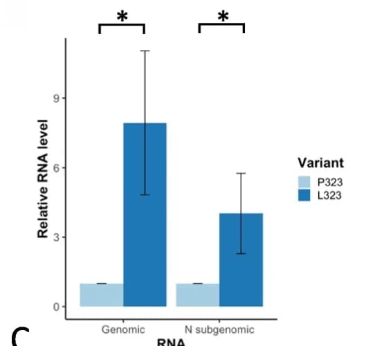 Open access visualization of Bar Plot, Error Bars, Clustered, RNA Levels, Genomic RNA
