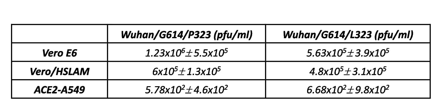 Open access visualization of Table Image, Viral Titer, PFU/ml, Vero E6 Cells, Vero/hSLAM Cells