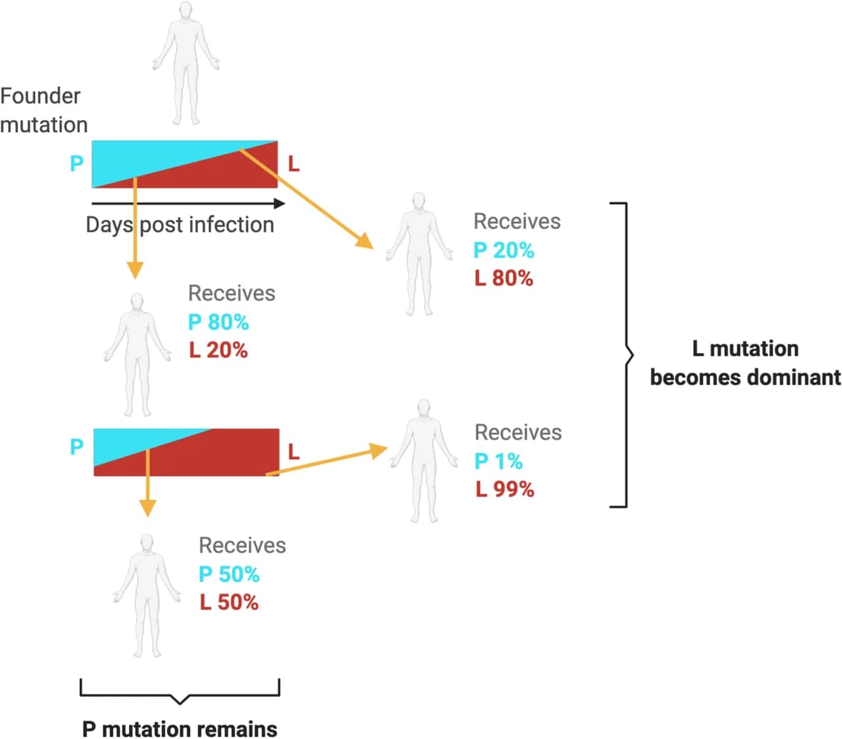 Open access visualization of Workflow, Flowchart, Variant Genomes, Viral Populations, Viral Genome Sequence