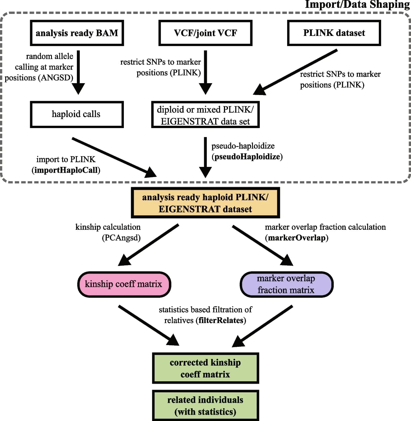 Open access visualization of Workflow, Flowchart, Kinship Analysis, Low-Coverage Data, Ancient DNA