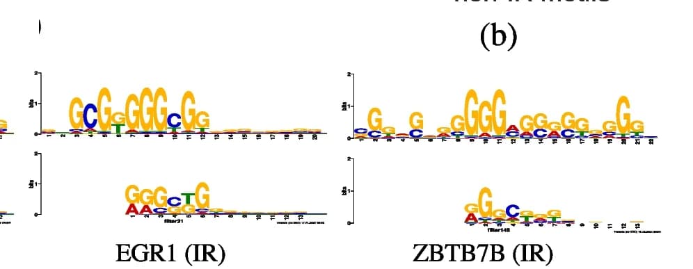 Open access visualization of Illustration, Deep Learning Architectures, gkm-SVM, Precision-Recall Curves