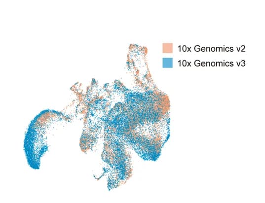 Open access visualization of Scatter Plot, UMAP, PCA, Batch Effect