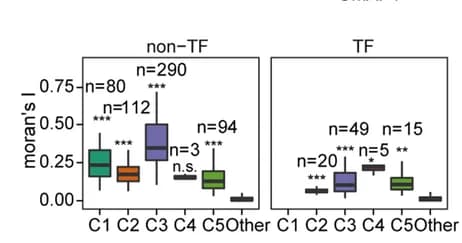 Open access visualization of Box Plot, Moran’s I, Marker Genes, Wilcoxon tests