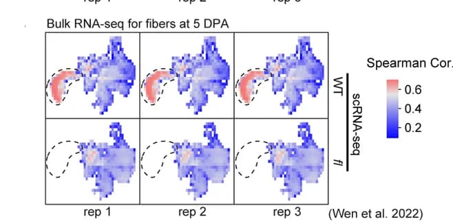 Open access visualization of Heatmap, Gene Expression, Correlation Analysis, UMAP, LCM-seq