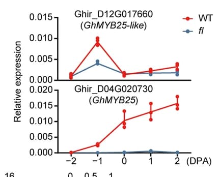 Open access visualization of Line Plot, Scatter Plot, Error Bars, qRT-PCR Validation, GhMYB25-like