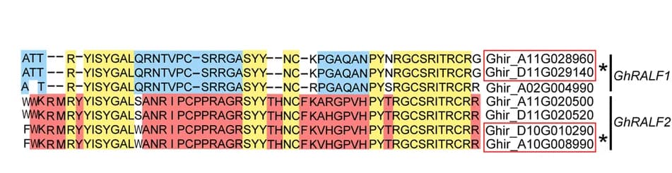 Open access visualization of Illustration, Table Image, Sequence Alignment, GhRALFs, Amino Acids