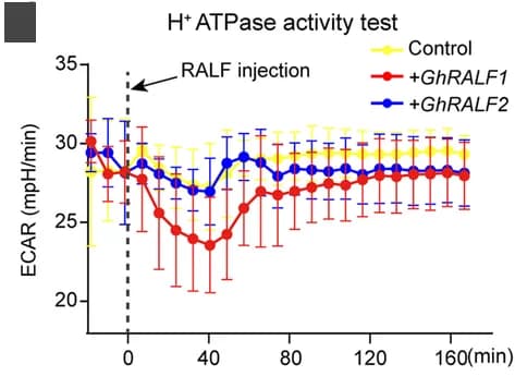 Open access visualization of Line Plot, Error Bars, H+-ATPase Activity, Ovules, GhRALF