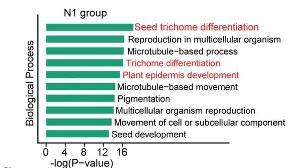 Open access visualization of Bar Plot, GO Terms, Biological Processes, Gene Ontology