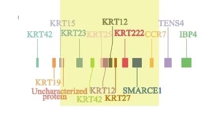 Open access visualization of Illustration, Gene Models, Signal Region