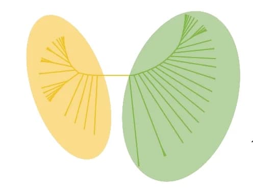 Open access visualization of Network, Pathway, Maximum-Likelihood Tree, SNPs, Signal Region