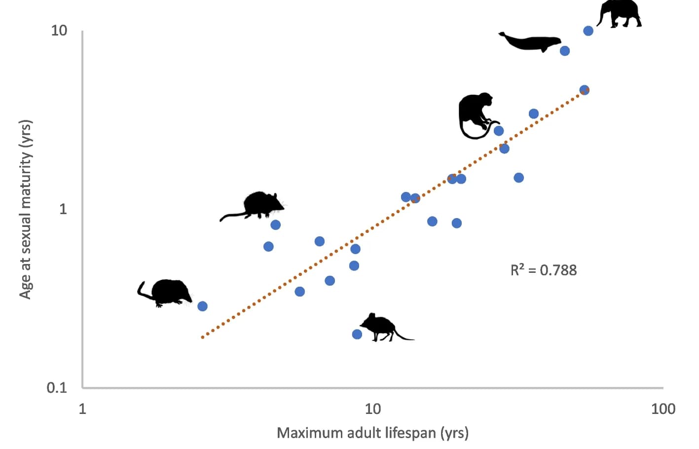 Open access visualization of Scatter Plot, Regression Plot, Lifespan, Sexual Maturity