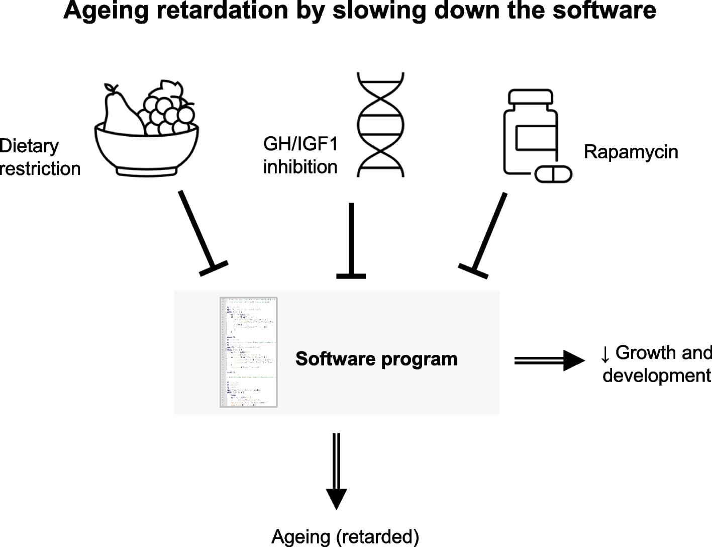 Open access visualization of Workflow, Flowchart, Illustration, Longevity, Mice