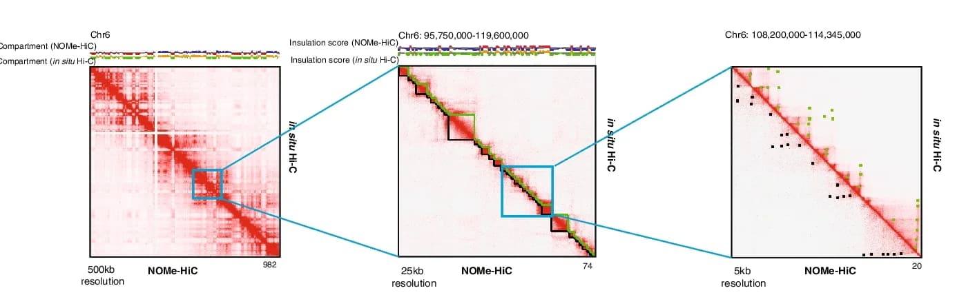 Open access visualization of Heatmap, Line Plot, 3D Genome, In Situ Hi-C, IMR-90 Cells