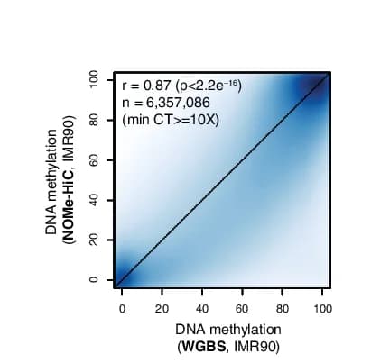 Open access visualization of Heatmap, Methylation, Whole-Genome Bisulfite Sequencing, WGBS, HCG Sites