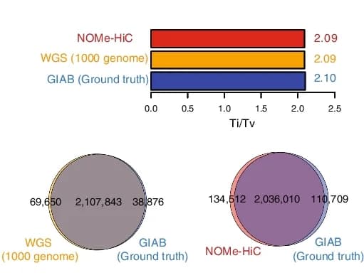 Open access visualization of Bar Plot, Venn Diagram, SNPs, Genome in a Bottle, GIAB