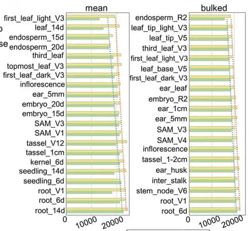 Open access visualization of Bar Plot, Clustered, Gene Expression, Transcription, Translation