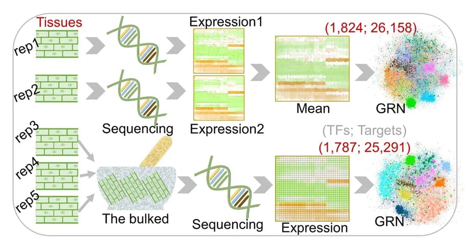 Open access visualization of Workflow, Illustration, Heatmap, Scatter Plot, Network
