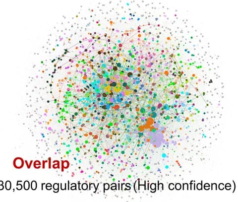Open access visualization of Network, Pathway, High-confidence network, GRNs, Network type
